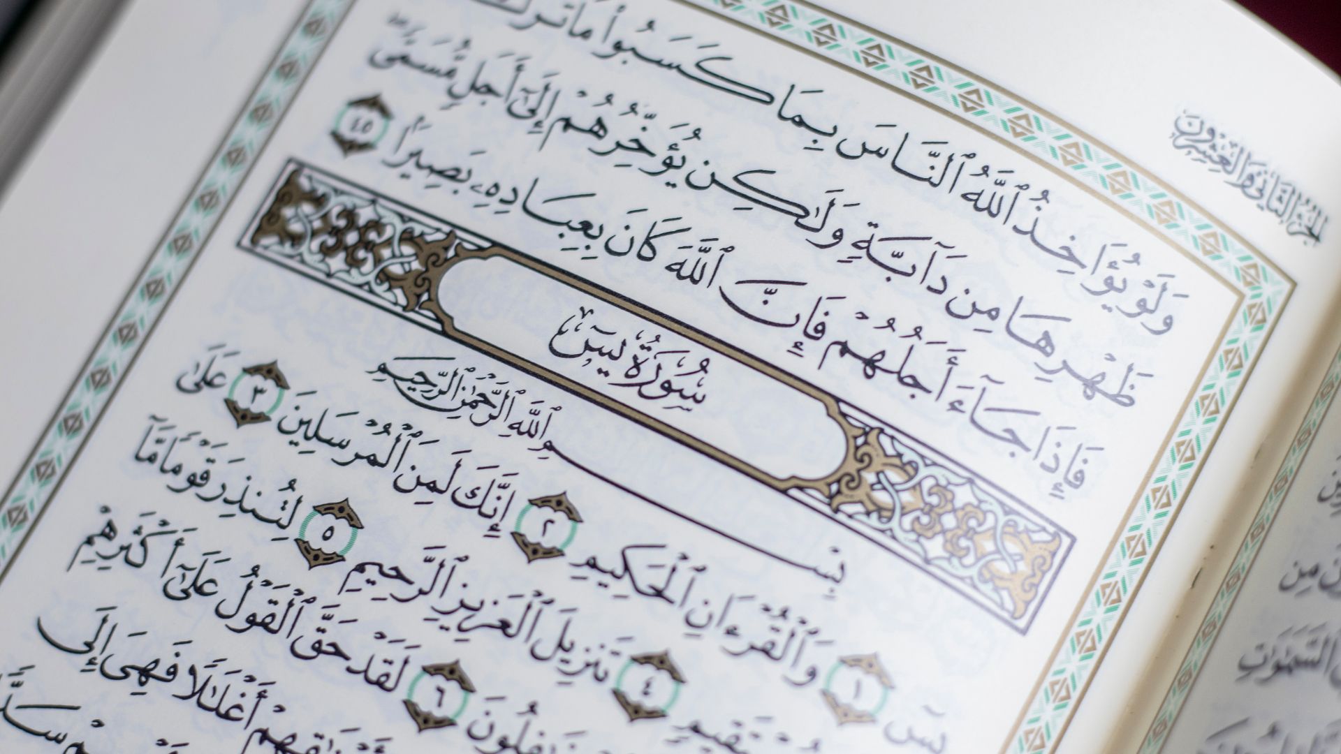 Importance Of Surah Yasin